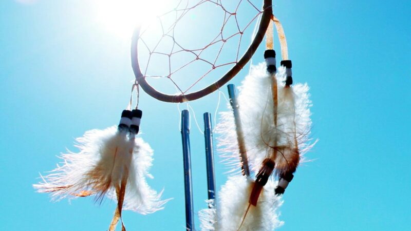 最近のトライアル・セッションご感想